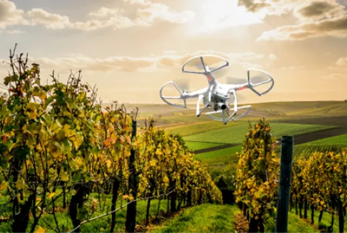 Corso di formazione: "Agri-tech Training: La viticultura di precisione"